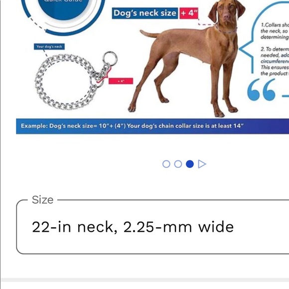 Sprenger Dog Chain Slip Collar 26” and Throw Chain.  2 Items. - Picture 5 of 12